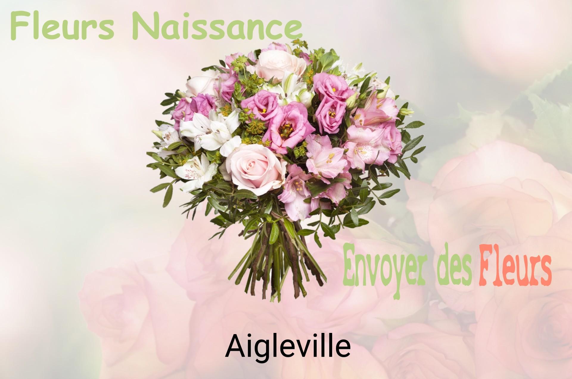 Bouquet de fleurs de naissance livré à Aigleville